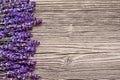 Bouquet of lavender flowers on light background. Top view, copy space Royalty Free Stock Photo