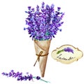 Bouquet of lavender flowers in a paper cornet and label on a white background. Hand drawn watercolor