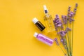 Bouquet of lavender flowers and set lavender skincare cosmetics products. Natural spa beauty products fresh lavender flower herbs Royalty Free Stock Photo