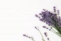 Bouquet of lavender flowers on white wooden table background. Decorative floral frame, web banner with Lavandula Royalty Free Stock Photo