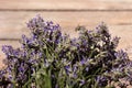 Bouquet of lavender flowers on a wooden background. Lots of fragrant summer flowers Royalty Free Stock Photo