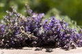 Bouquet of lavender flowers on a wooden table, green background. Lots of fragrant summer flowers Royalty Free Stock Photo
