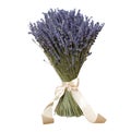 A bouquet of lavender Royalty Free Stock Photo