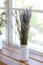 Bouquet of lavender near window.