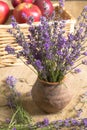 Bouquet of lavender in a vase with apples Royalty Free Stock Photo