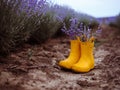 A bouquet of lavender in yellow rubber boots stand in a field of lavender