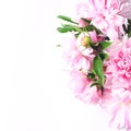 Bouquet of light pink peonies on a white background. close-up view from the top, copy space, square Royalty Free Stock Photo