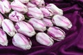 Bouquet of light pink tulips on a dark purple velvet background.Flat lay.Copy space.ÃÂ¡oncept of gifts, decorative design of Royalty Free Stock Photo