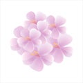 Bouquet of light Purple Violet flowers isolated on White background. Apple-tree flowers. Cherry blossom. Vector EPS 10 cmyk Royalty Free Stock Photo