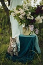 bouquet lilac cat nature tree green leaf