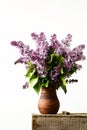 Bouquet of lilac flowers in a ceramic pot on an old box Royalty Free Stock Photo