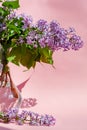 Bouquet of lilac in glass vase Royalty Free Stock Photo