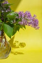 Bouquet of lilac in glass vase Royalty Free Stock Photo