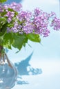 Bouquet of lilac in glass vase Royalty Free Stock Photo