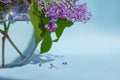 Bouquet of lilac in glass vase Royalty Free Stock Photo