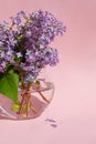 Bouquet of lilac in glass vase Royalty Free Stock Photo