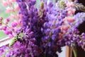 Bouquet of lilac and pink lupins close-up