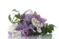 Bouquet of lilac Royalty Free Stock Photo