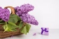 Bouquet of lilac in wicker basket with purple gift box on white Royalty Free Stock Photo