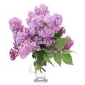 Bouquet of Lilacs in a Glass Vase isolated on white. Branch with Lilac Flowers. Royalty Free Stock Photo