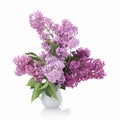 Bouquet of Lilacs in a Glass Vase isolated on white. Branch with Lilac Flowers. Royalty Free Stock Photo