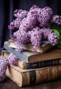 bouquet of lilacs and old books, on a table in the garden in the shade of trees Royalty Free Stock Photo