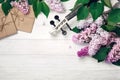 A bouquet of lilacs with violin, letter and music sheet on a white wooden table. Top wiev with space for your text Royalty Free Stock Photo