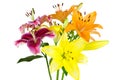 Bouquet of lilies Royalty Free Stock Photo