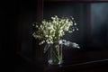 Bouquet of lilies of the valley in small jar with ray of light, dark background