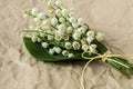 Bouquet of lilies of the valley on a light background