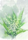 Bouquet of lilly of the valley - May bells. Hand drawn digital illustration. Spring flower.