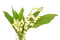 Bouquet of Lily of the valley flower blossoms, isolated on white background. May 1st Labor Day symbol Royalty Free Stock Photo