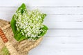 Bouquet of Lily of the valley flowers in a basket on a white wooden background with a copy space close up top view. Royalty Free Stock Photo