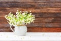 Bouquet of Lily of the valley flowers in a jug on a white wooden table on a retro grunge wall background Royalty Free Stock Photo