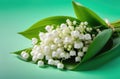 Bouquet of Lily of the Valley flowers on a Pastel Green background. Beautiful spring flowers. Card. Copy space. Royalty Free Stock Photo
