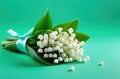 Bouquet of Lily of the Valley flowers on a Pastel Green background. Beautiful spring flowers Royalty Free Stock Photo