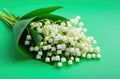 Bouquet of Lily of the Valley flowers on a Pastel Green background. Beautiful spring flowers. Royalty Free Stock Photo