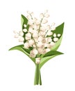 Bouquet of lily of the valley flowers. Vector illustration Royalty Free Stock Photo