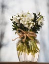 A bouquet of little fresh snowdrops in a glass vase outdoors. Bunch of flowers. Galanthus nivalis Royalty Free Stock Photo