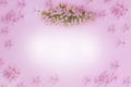 Bouquet of little pink flowers on pink background Royalty Free Stock Photo