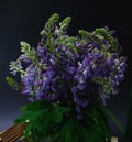 Bouquet Of Lupine Flowers In Wooden Box On Dark Background