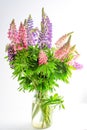 A bouquet of lupines in a basket. Multicolored summer flowers pink and purple on grey background. Lupine flower buds Royalty Free Stock Photo