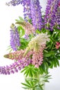 A bouquet of lupines in a basket. Multicolored summer flowers pink and purple on grey background. Lupine flower buds Royalty Free Stock Photo