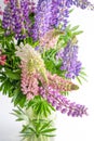 A bouquet of lupines in a basket. Multicolored summer flowers pink and purple on grey background. Lupine flower buds Royalty Free Stock Photo