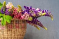 A bouquet of lupines in a basket. Multicolored summer flowers pink and purple on the background. Lupine buds. Summer Royalty Free Stock Photo