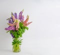 A bouquet of lupines in a basket. Multicolored summer flowers pink and purple on white background. Lupine flower buds Royalty Free Stock Photo