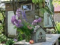 Bouquet of lupins, birdhouse, apple and summer house