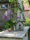 Bouquet of lupins, birdhouse, apple and summer house