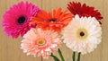 Closeup photo of five gerbera