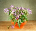 Bouquet of meadow flowers on a wooden table Royalty Free Stock Photo